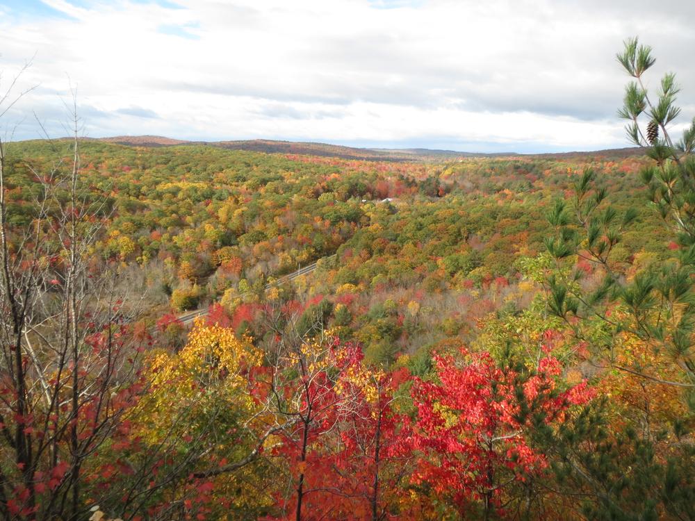 Elizabeth Burns McIntire Forest Trails - Trail Finder