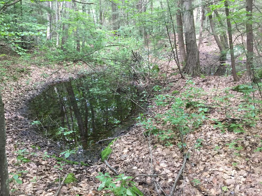 Stickney Trail System Trail Finder