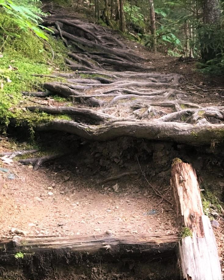 Garfield Falls - Trail Finder