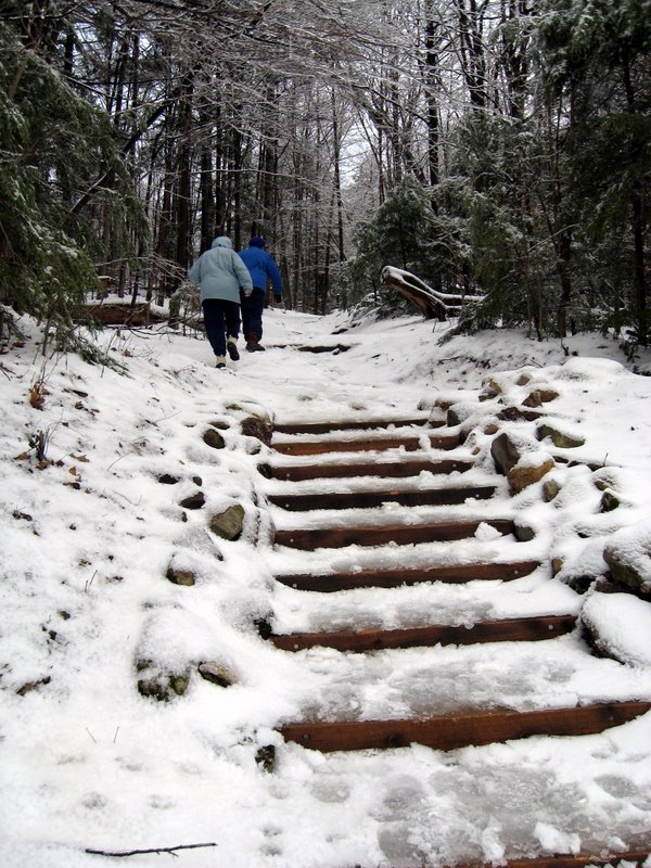 Shelburne Pond Trail Finder