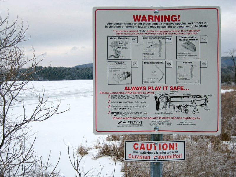 Shelburne Pond Trail Finder