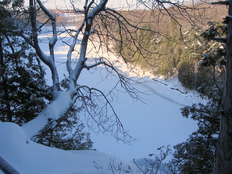 Winooski Natural Area Trail Finder