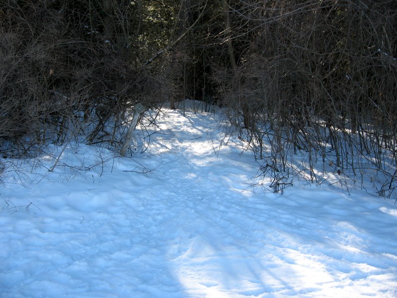 Pease Mountain Trail Finder