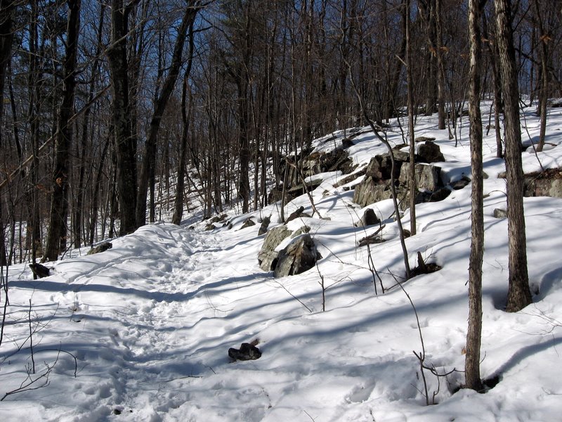 Pease Mountain Trail Finder