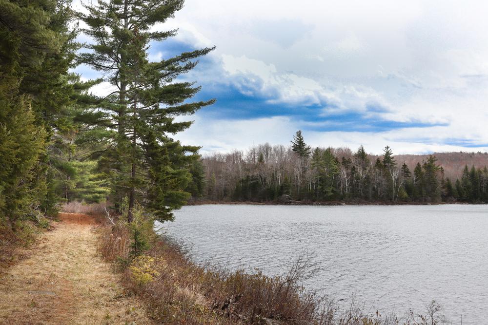 Grantham's Sherwood Forest Trail Finder