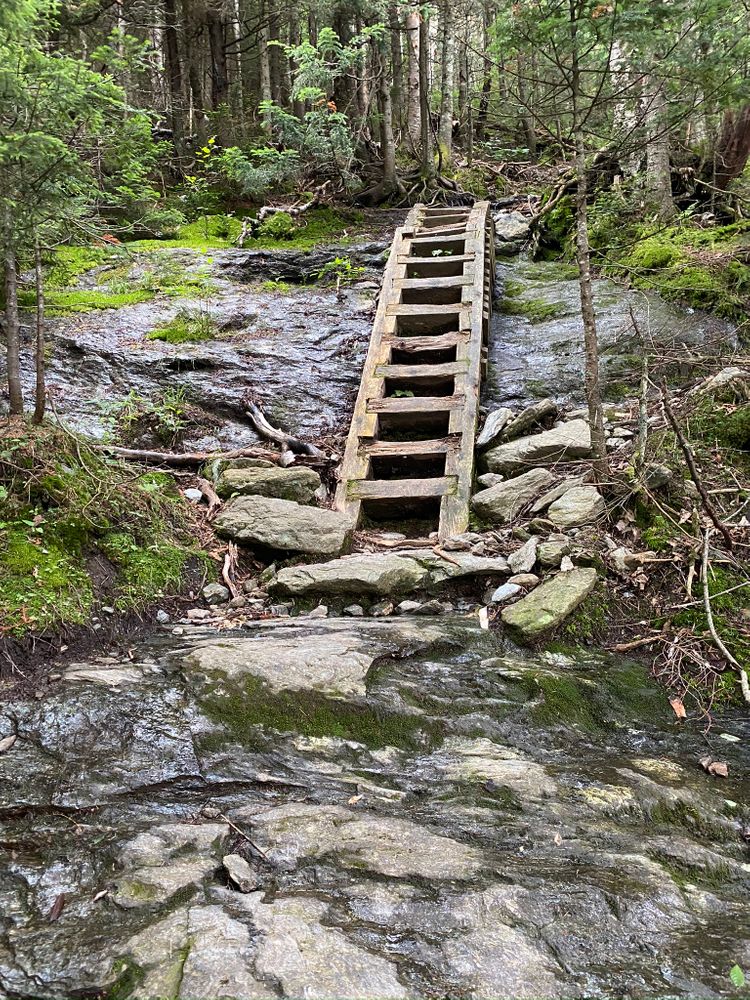 Mt Mansfield Hiking Trails Mount Mansfield West: Underhill State Park Hiking Trails - Trail Finder