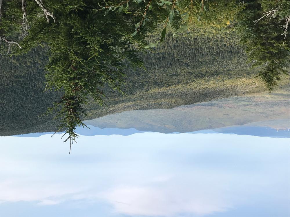 Kilkenny Ridge York Pond Access Trail Finder