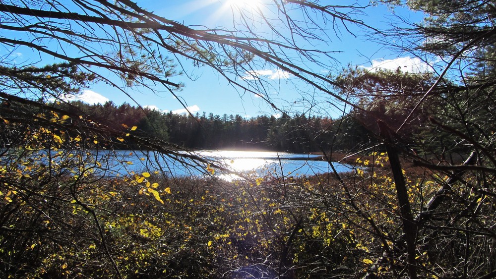 Greenfield State Park - Trail Finder