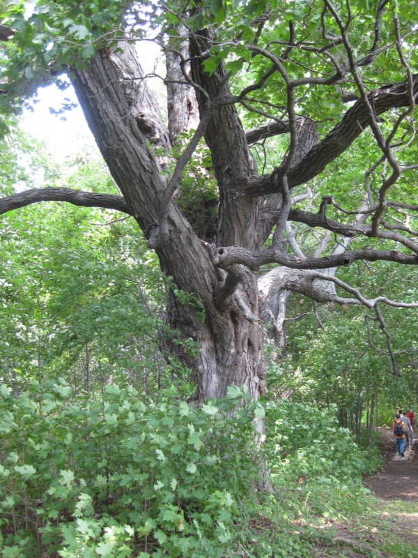 Knight Point State Park - Trail Finder