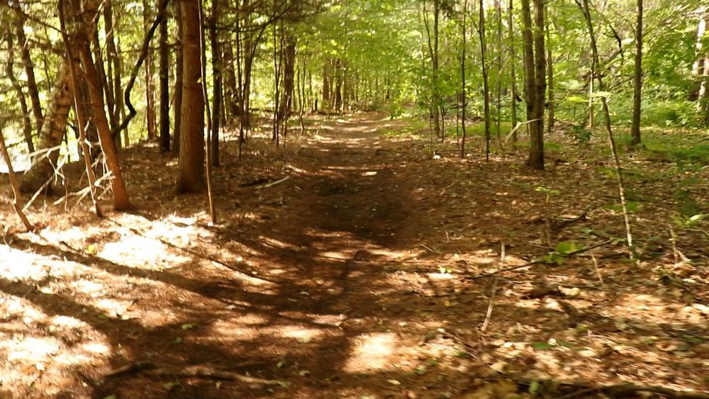 Livermore Falls Recreation Area Trail Finder