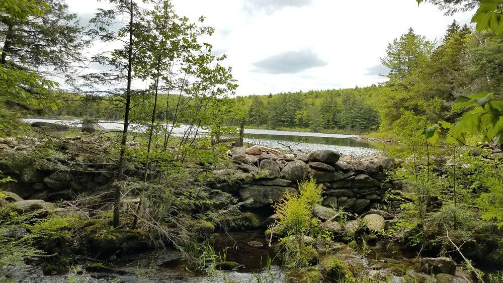 Grantham's Sherwood Forest Trail Finder