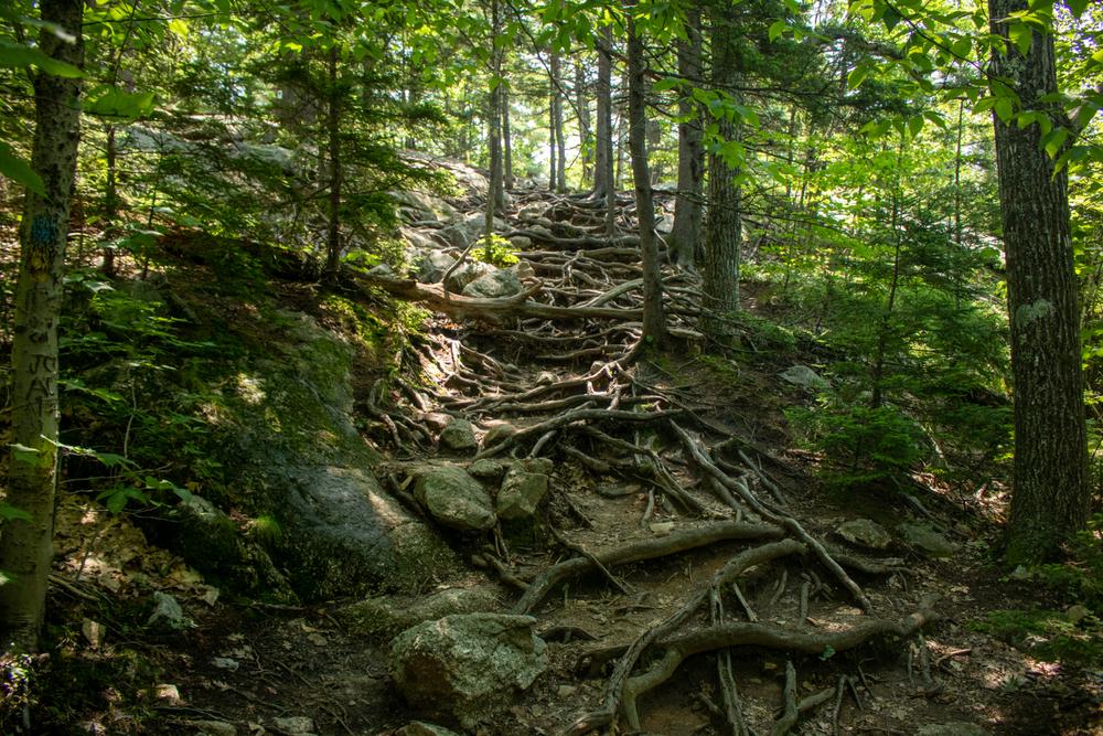 Mount Major Trail Finder