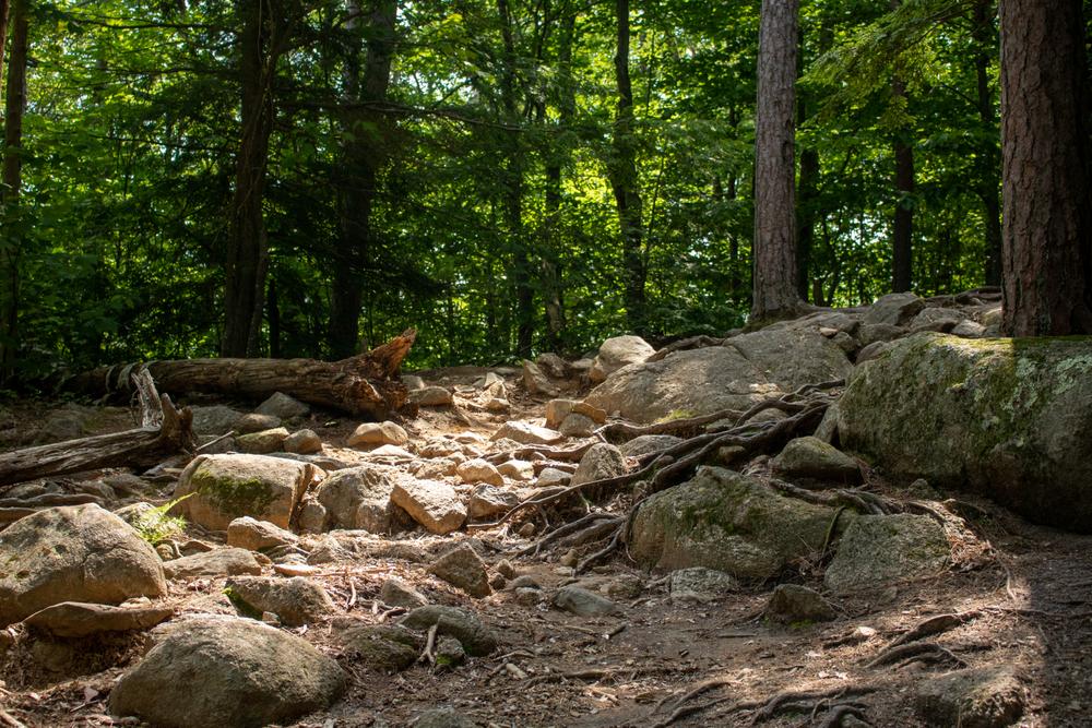 Mount Major Trail Finder