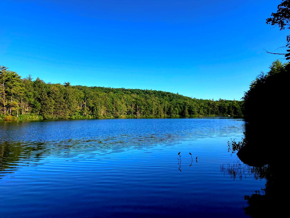 Ferrin Pond Nature Preserve Trail Finder