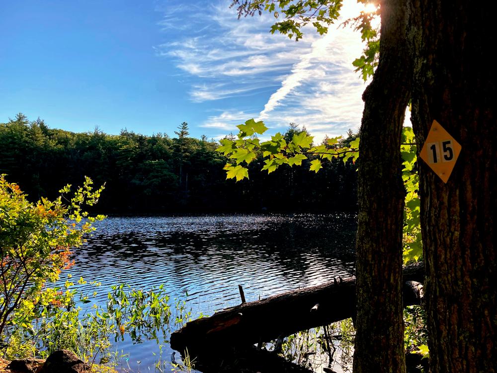 Ferrin Pond Nature Preserve Trail Finder