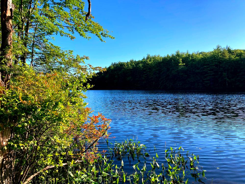 Ferrin Pond Nature Preserve Trail Finder