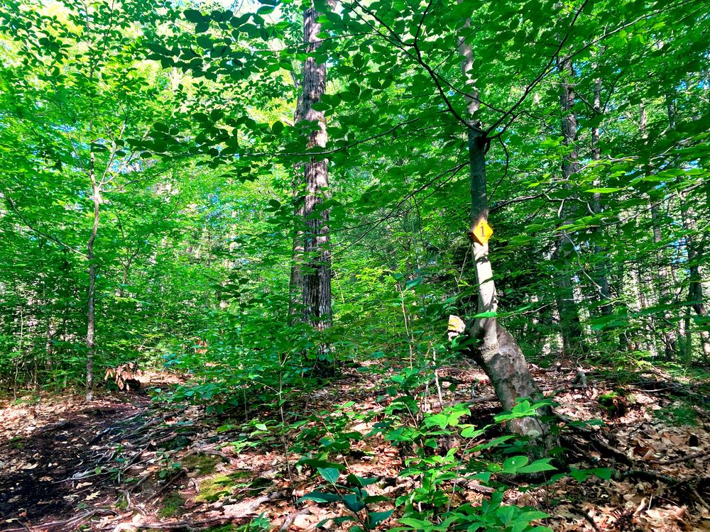 Ferrin Pond Nature Preserve Trail Finder