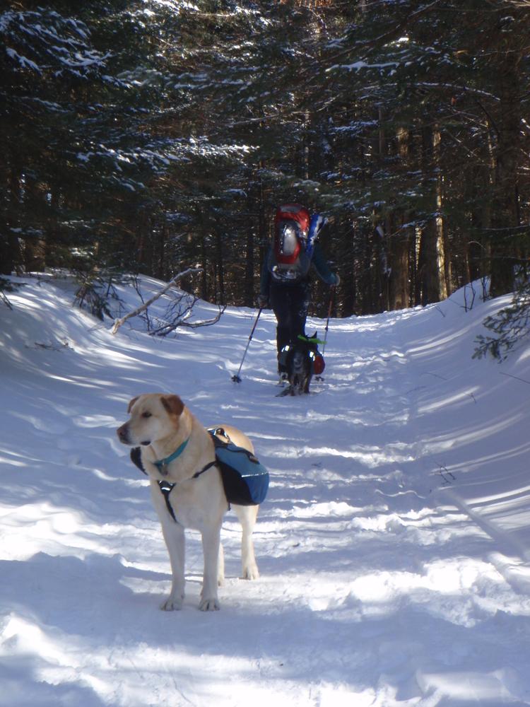 Catamount Trail Sterling Valley Trail Finder