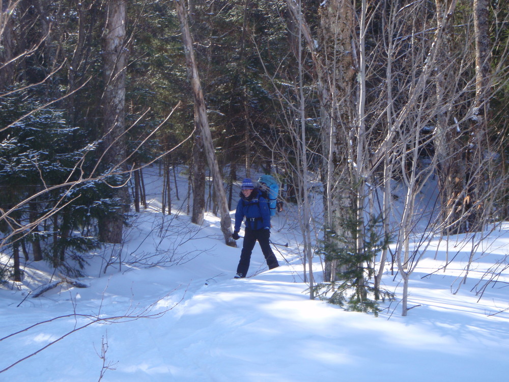 Mount Mansfield State Forest Beaver Meadow Trail Finder