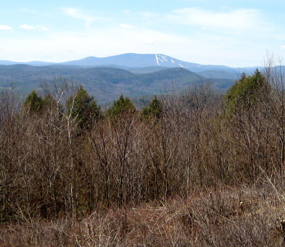 Putney Mountain Association: Putney Mountain Trails - Trail Finder