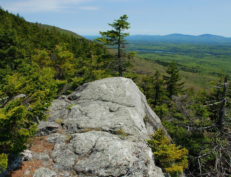 are dogs allowed at mount monadnock