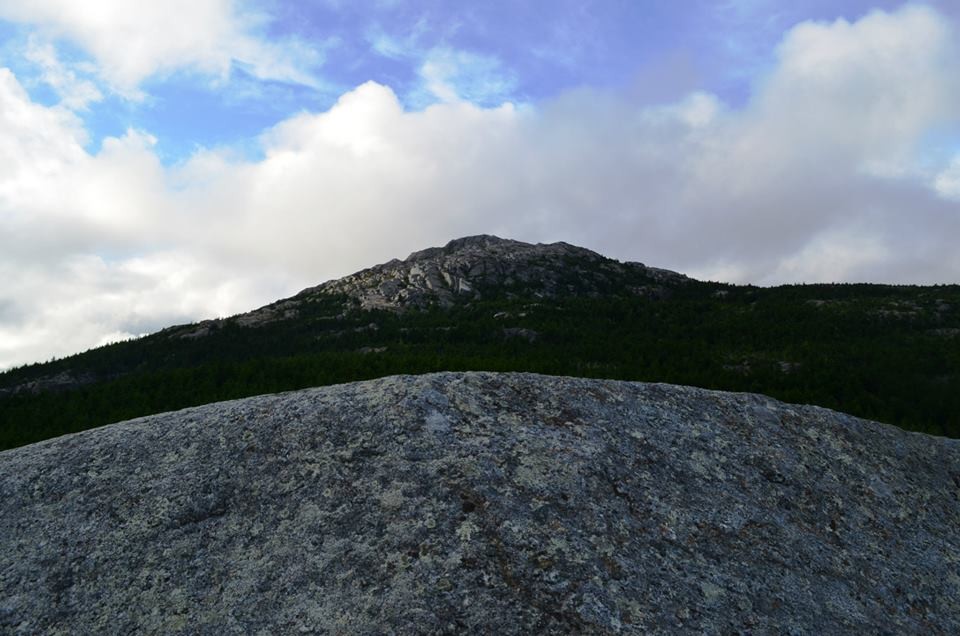 are dogs allowed at mount monadnock