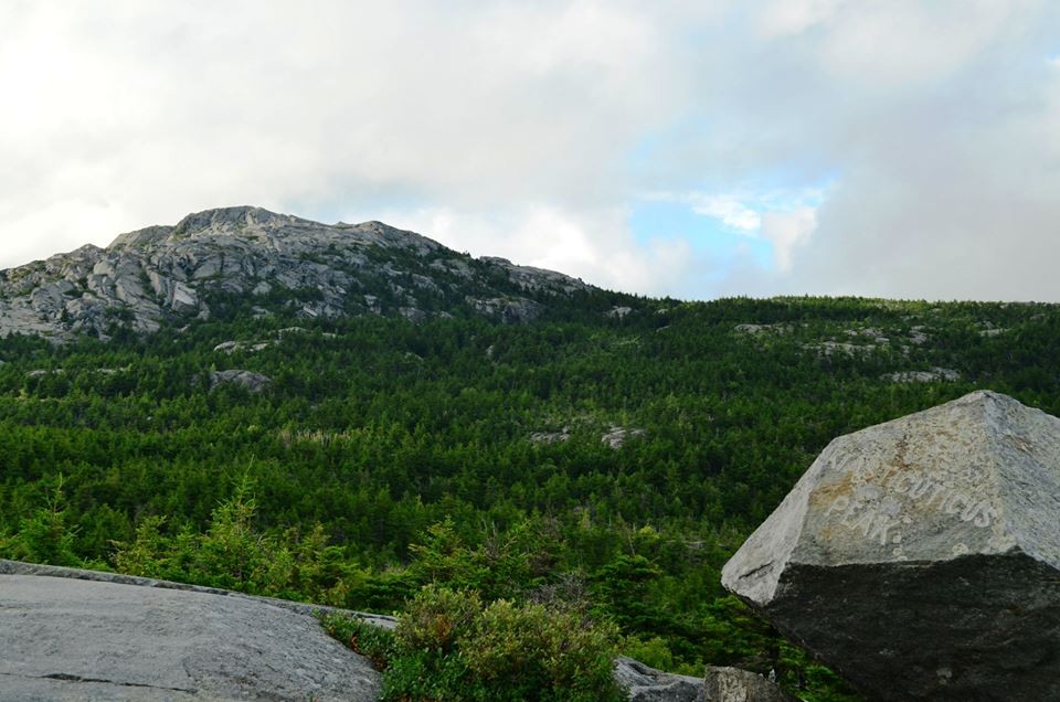 are dogs allowed at mount monadnock