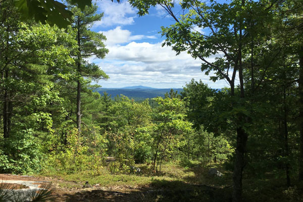 Black Mountain Natural Area - Trail Finder