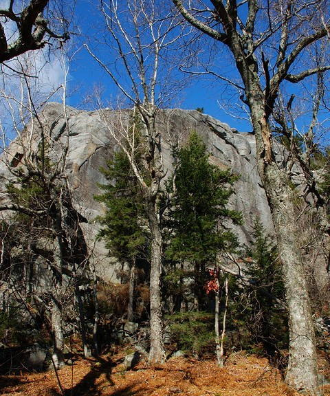 are dogs allowed at mount monadnock