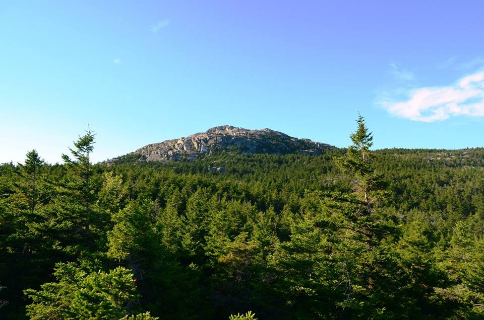 are dogs allowed at mount monadnock