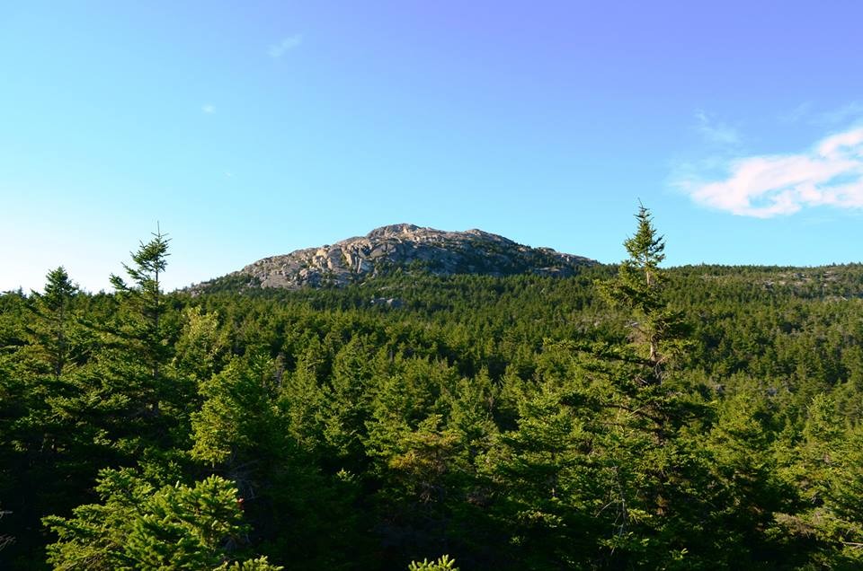 Mount Monadnock Hiking Trails - Trail Finder