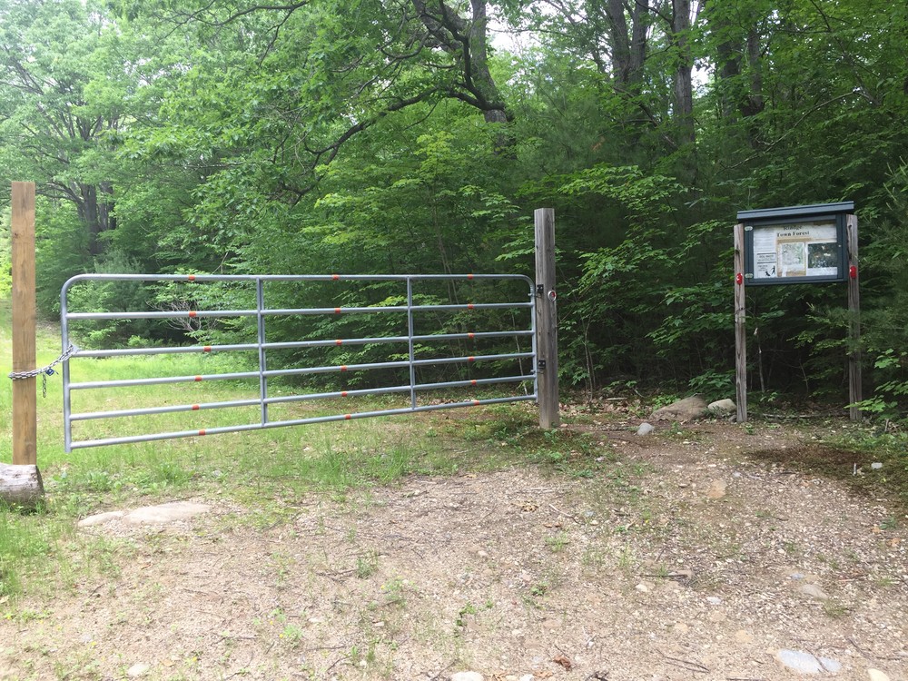 Rindge Town Forest and Tetreault Park Trail Finder