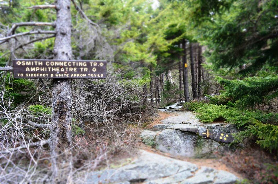 Mt Monadnock Trail Map Mount Monadnock Hiking Trails - Trail Finder