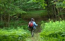 Bomoseen and Halfmoon State Parks - Trail Finder