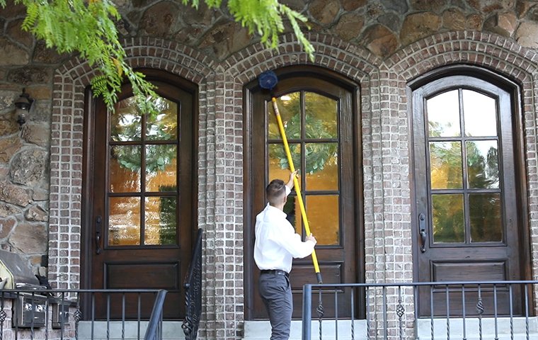 a pest control service technician performing dewebbing treatments on the exterior of a home