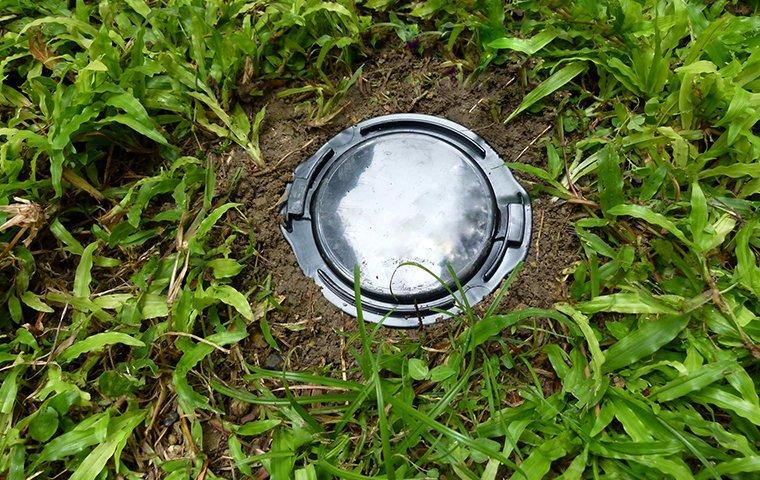 a termite bait station installed in the grass outside of a home