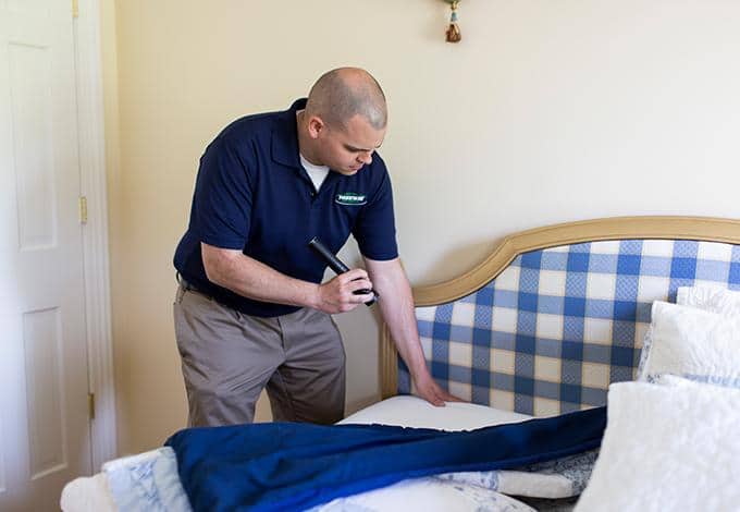 professional bed bug inspection in plandome heights ny
