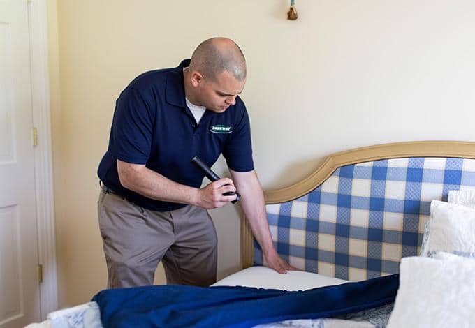 a technician inspecting a bed for bed bugs in a new york hotel