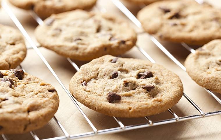 Protect Your Food From Unwanted Pests freshly baked cookies cooling in kitchen