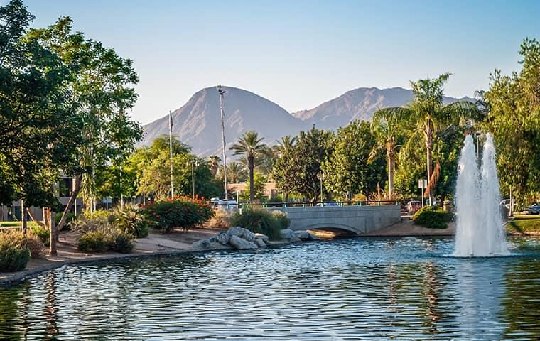 Associated Pest Control Conference In Palm Springs California beautiful view in palm springs california