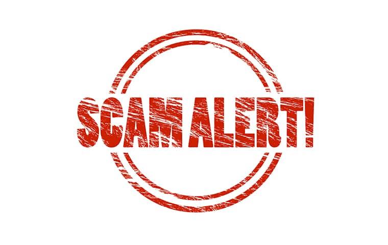 pest control scams in ny