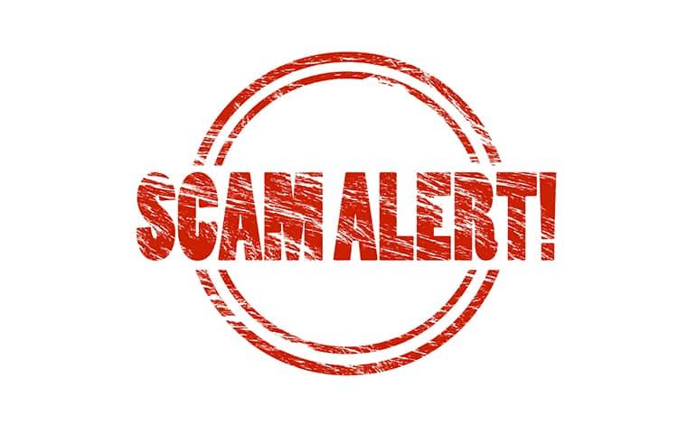 Beware Of Pest Control Scams pest control scams in ny