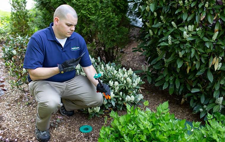 a professional pest control service technician crouched down in front of a westchester home in new york as he is infestation and treating a property for termite control