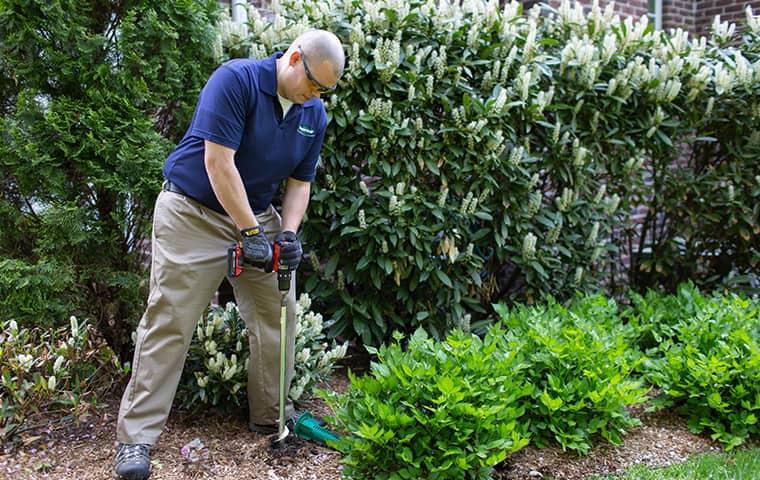 Parkway S Ny Pest Management Team