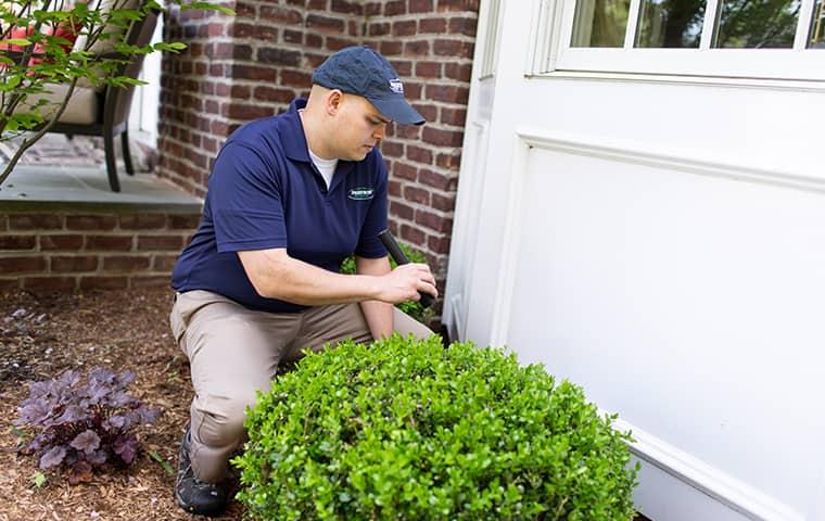 Termites Are One Of The Most Destructive Pests Homeowners Have To Deal With parkway technician inspecting a new york home