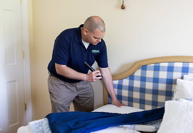bed bug expert from parkway inspecting for bed bugs
