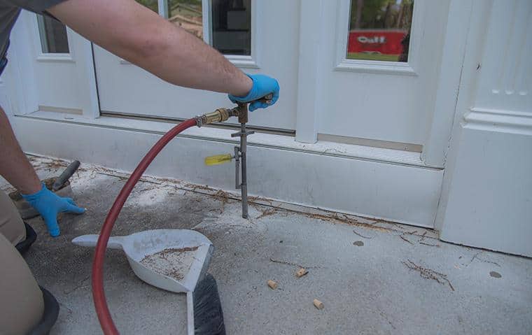 Termite Treatment