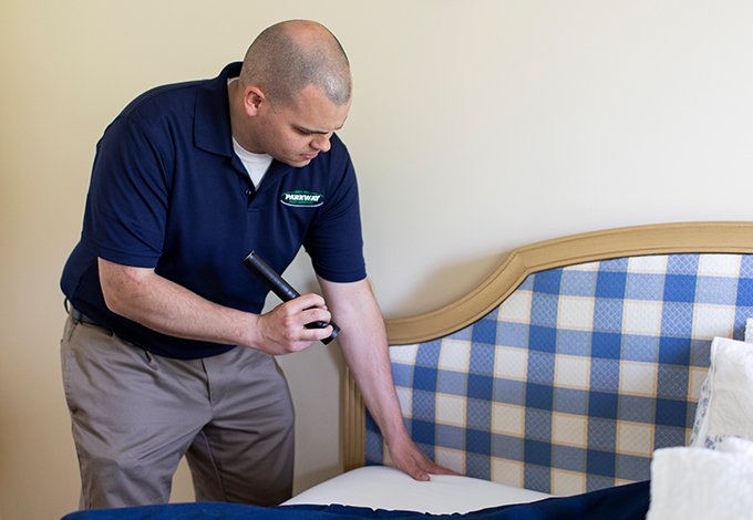pest control technician inspecting for bedbugs in a home in malverne new york