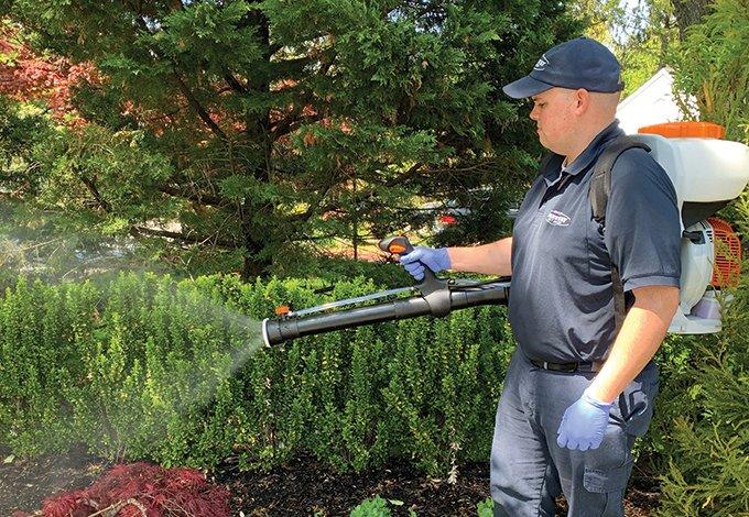 long island pest control tech treating yard for mosquitoes