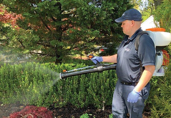 Stop Mosquito Bites With Help From Parkway long island pest control tech treating yard for mosquitoes